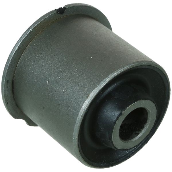 2001-2005 Pontiac Aztek Suspension Control Arm Bushing - Rear Lower Forward (Moog)