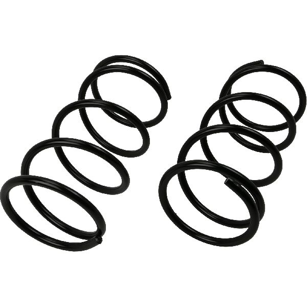2002-2003 Subaru Impreza Coil Spring Set - Rear (Moog)