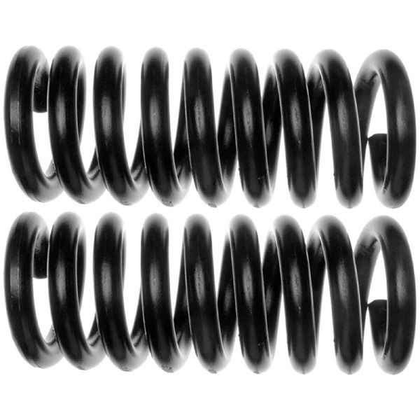 1996-2002 Chevrolet Express 2500 Coil Spring Set - Front (Moog)
