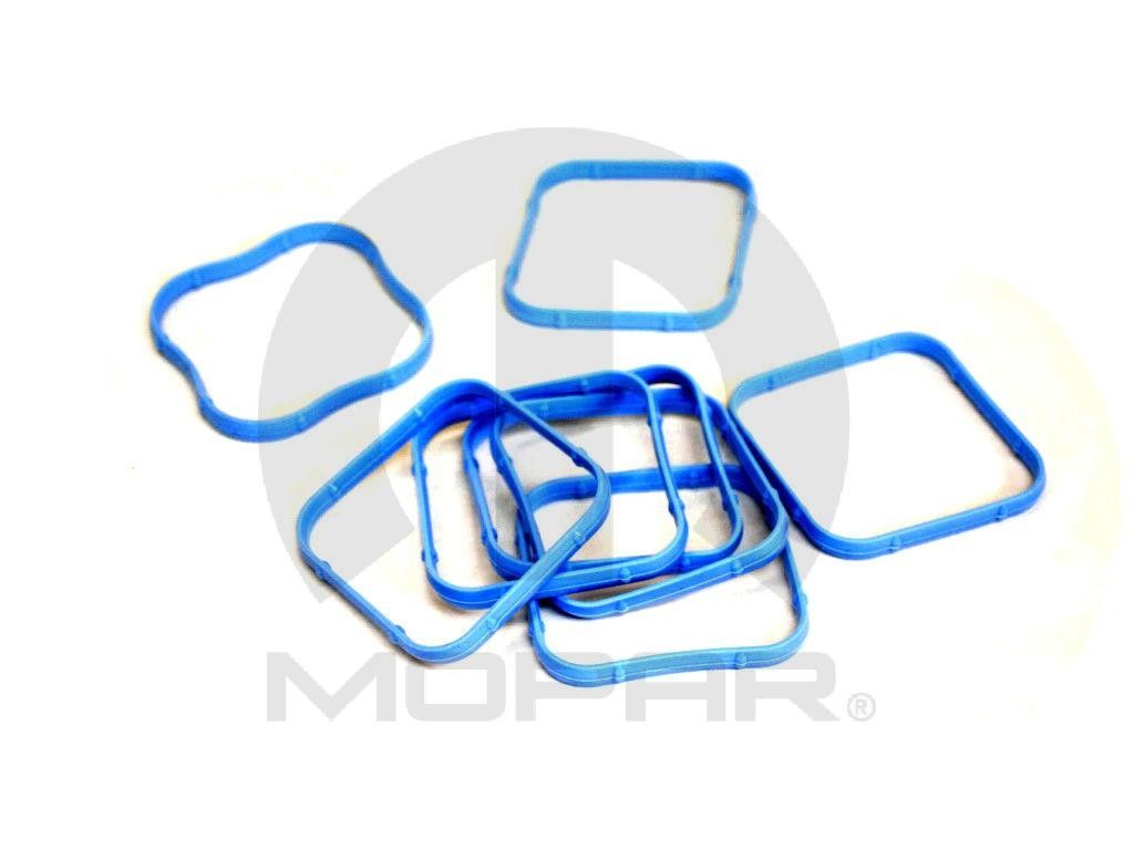 Engine Air Intake Seal