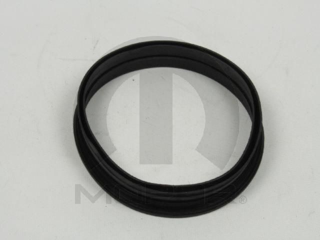 2001, 2000, 1999, 1998, 1997 Jeep Cherokee Fuel Pump and Level Sensor Module Seal
