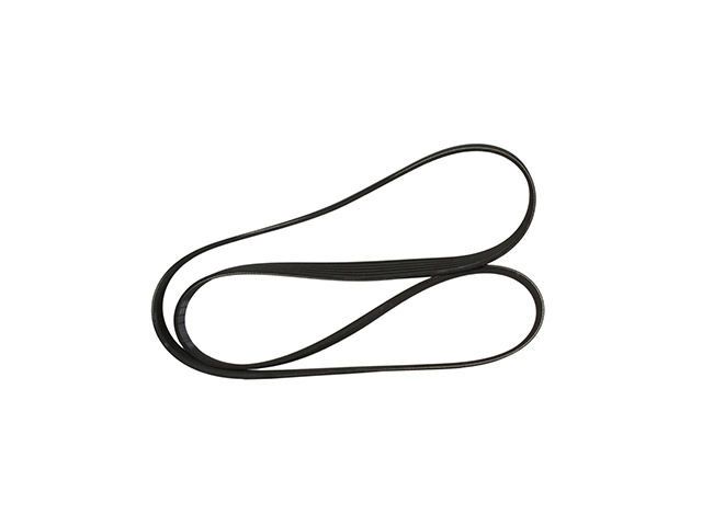 2014-2016 Ford Transit Connect Serpentine Belt (Motorcraft)