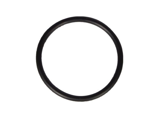 2019, 2018, 2017, 2016 Ford F650 Super Duty Engine Coolant Thermostat Gasket