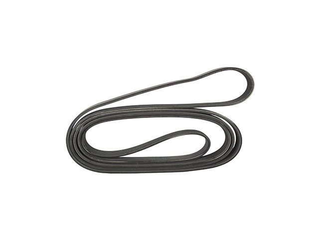 2019, 2018, 2017, 2016, 2015 Ford Transit-250 Serpentine Belt