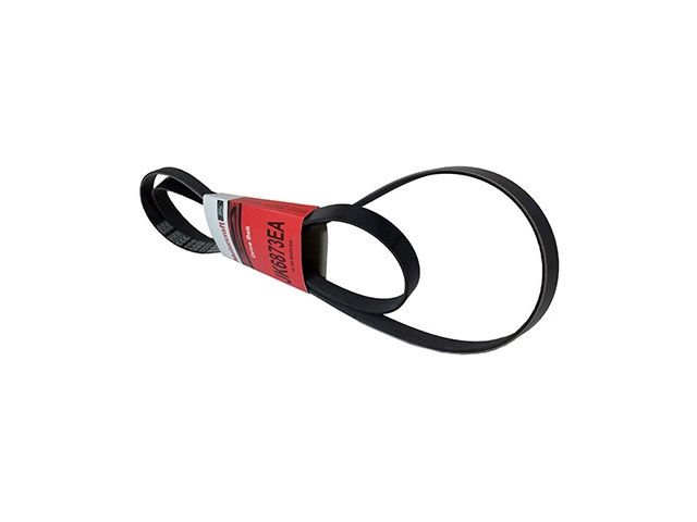 2011, 2010, 2009, 2008, 2007, 2006, 2005, 2004, 2003, 2002, 2001 Ford Ranger Sport Serpentine Belt