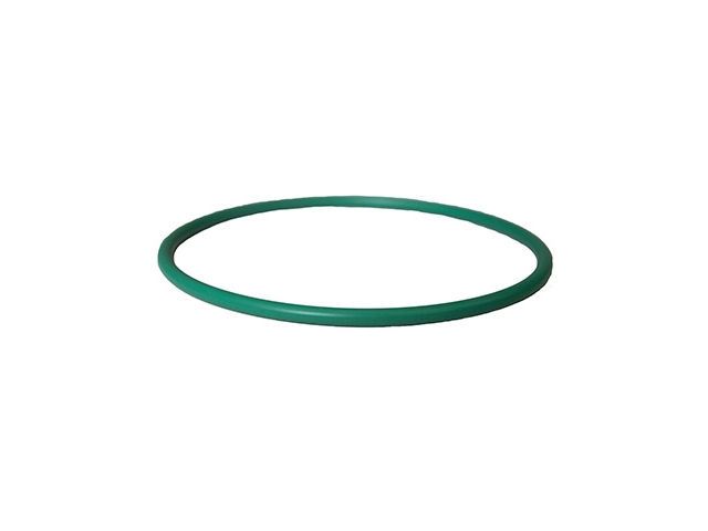 Fuel Pump Tank Seal