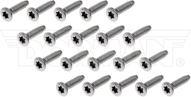 2008 Dodge Magnum Door Hinge Screw (Motormite)