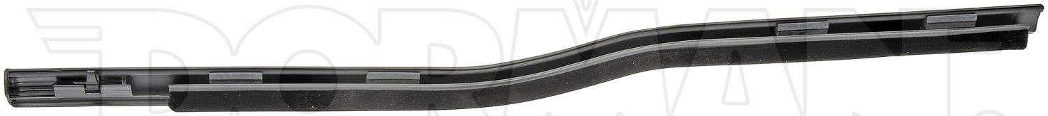 2008, 2007, 2006, 2005, 2004 Ford F-150 Door Belt Molding