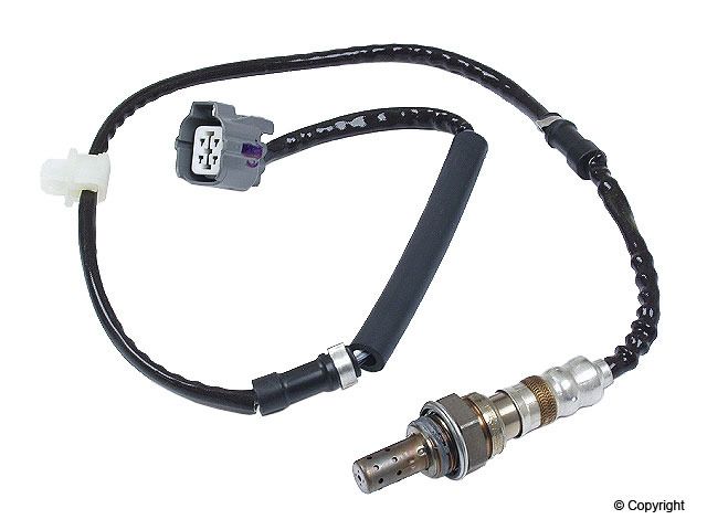 View 6
