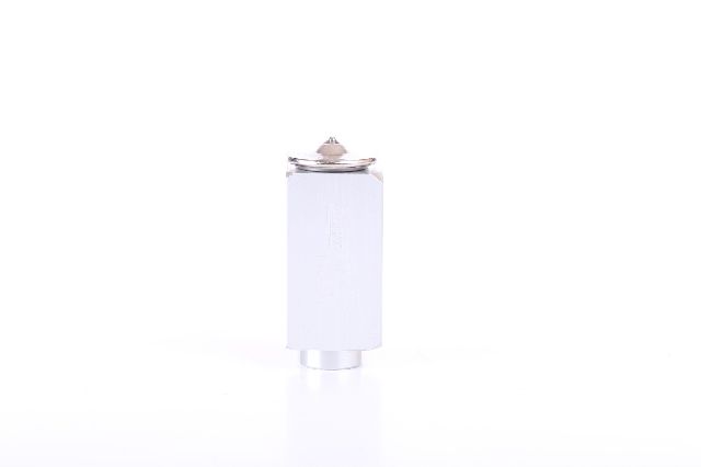2015-2016 Mercedes-Benz C300 A/C Expansion Valve (Nissens)