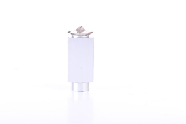 2003-2004 Mercedes-Benz S600 A/C Expansion Valve - Rear (Nissens)