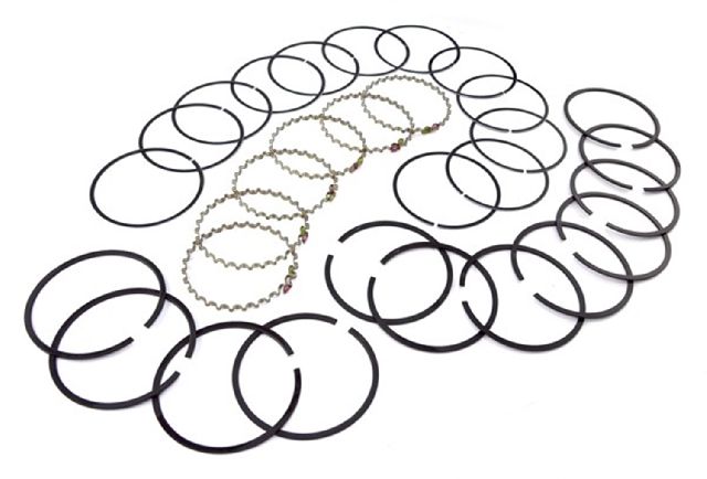 1974-1983 Jeep Cherokee Engine Piston Ring Set (Omix-Ada)