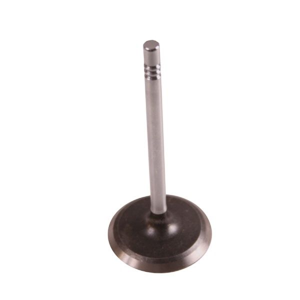 1974-1980 Jeep Cherokee Engine Intake Valve (Omix-Ada)