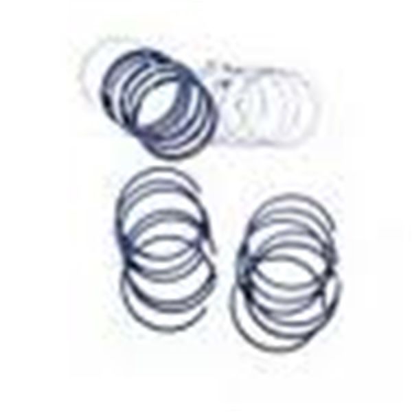 1974-1983 Jeep Cherokee Engine Piston Ring Set (Omix-Ada)
