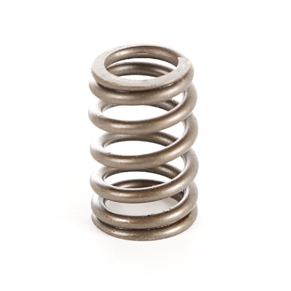 1987-1997 Jeep Cherokee Engine Valve Spring (Omix-Ada)