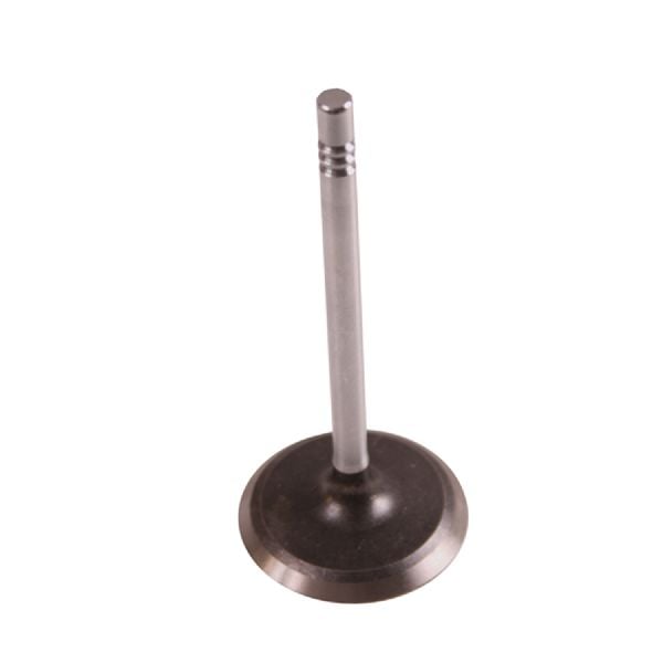 1987-1999 Jeep Cherokee Engine Intake Valve (Omix-Ada)