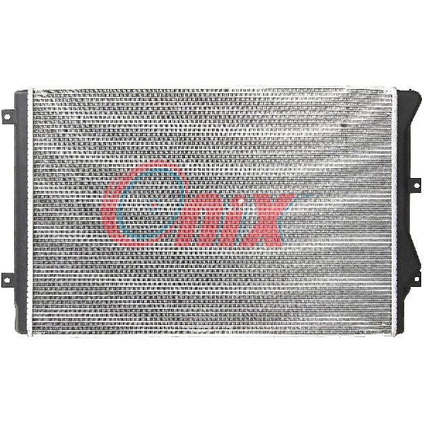 2009-2010 Volkswagen Tiguan Radiator (Onix)