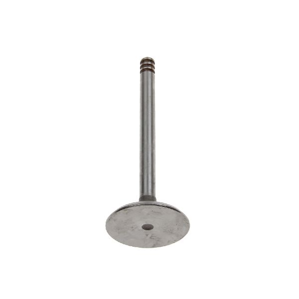 2004-2006 Volkswagen Golf Engine Intake Valve (Osvat)