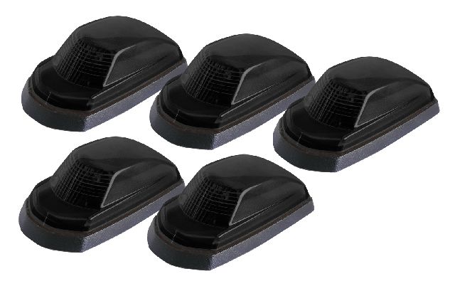 2016-2019 Ford Flex Truck Cab Light (Pacer Performance)