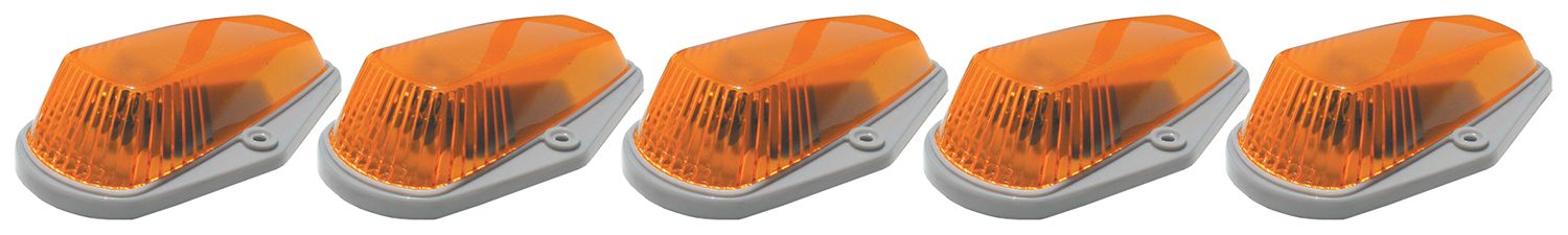 1998, 1997 Ford Expedition Truck Cab Light