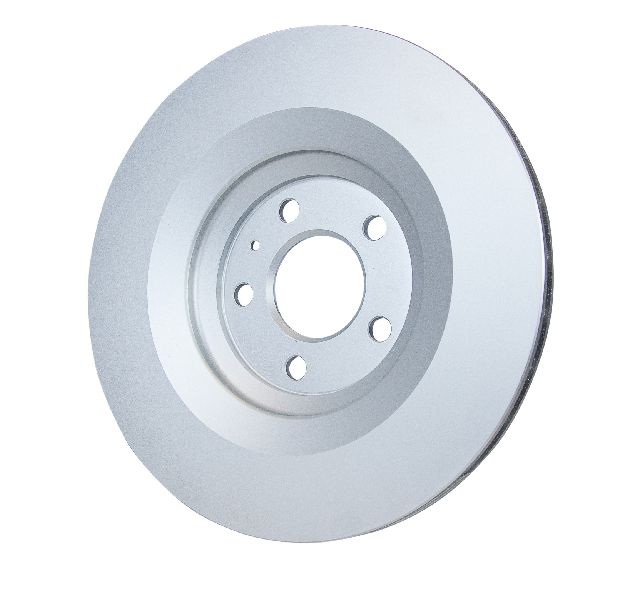 2007-2011 Audi S6 Disc Brake Rotor - Rear (Pagid)