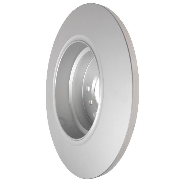 2000-2006 BMW X5 Disc Brake Rotor - Rear (Pagid)