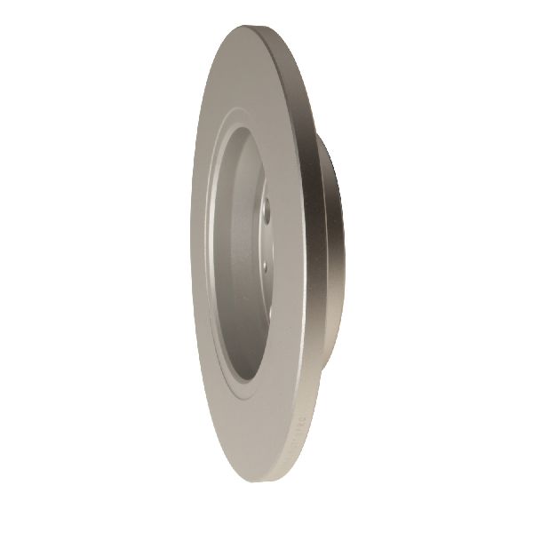2002-2006 Audi A4 Disc Brake Rotor - Rear (Pagid)