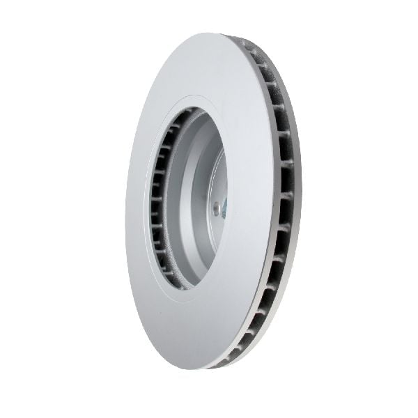 2006-2008 BMW 750i Disc Brake Rotor - Front (Pagid)
