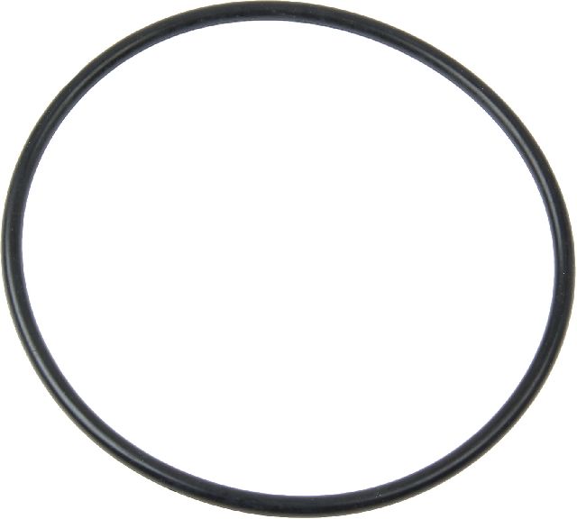 1994-1998 Saab 900 Fuel Pump O-Ring (Professional Parts Sweden)