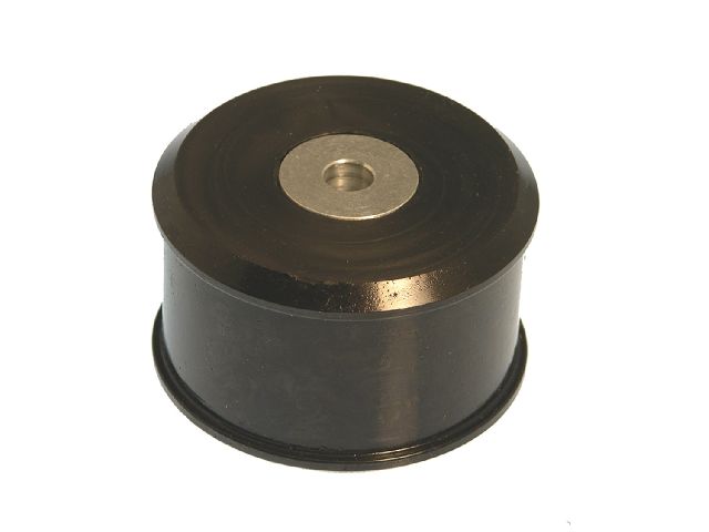 2002-2006 Nissan Sentra Engine Mount - Front (Prothane)