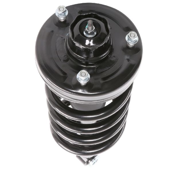 2003-2006 Lincoln Navigator Suspension Strut and Coil Spring Assembly - Rear (PRT)