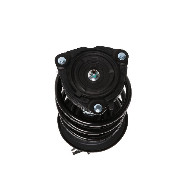 2009-2010 Nissan Murano Suspension Strut and Coil Spring Assembly - Front Left (PRT)