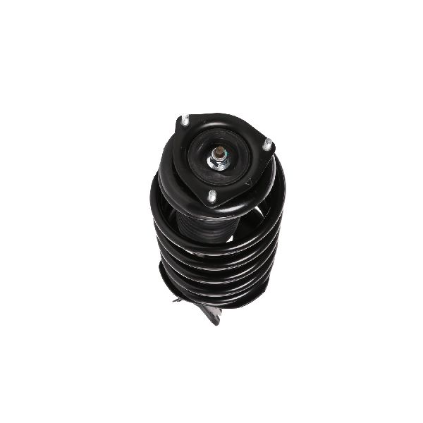 2000-2001 Nissan Sentra Suspension Strut and Coil Spring Assembly - Front Right (PRT)