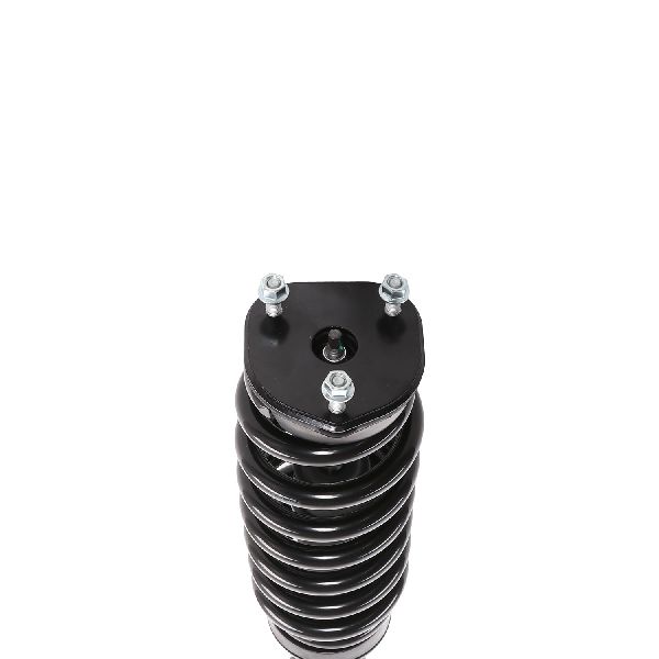 2006-2008 Dodge Ram 1500 Suspension Strut and Coil Spring Assembly - Front (PRT)