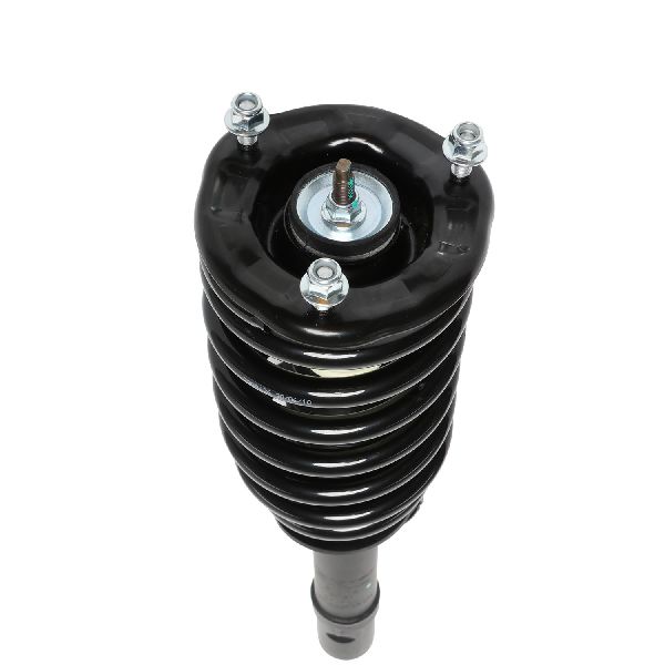 2004-2006 Kia Amanti Suspension Strut and Coil Spring Assembly - Front (PRT)