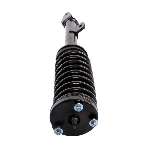 2005-2010 Chrysler 300 Suspension Strut and Coil Spring Assembly - Front (PRT)