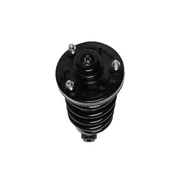 2007-2010 Lincoln Navigator Suspension Strut and Coil Spring Assembly - Rear (PRT)