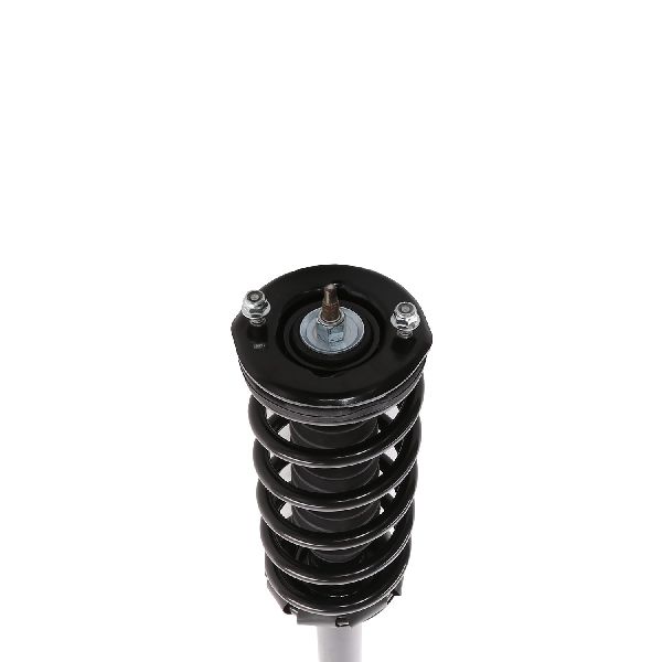 1995-1999 Nissan Maxima Suspension Strut and Coil Spring Assembly - Rear (PRT)