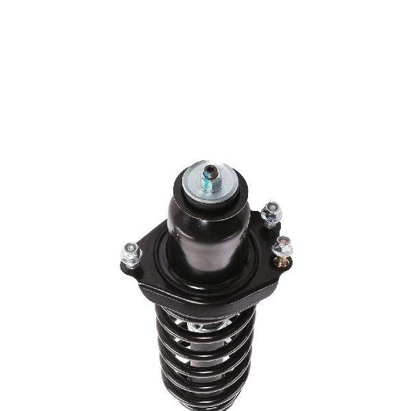 2011-2019 Dodge Journey Suspension Strut and Coil Spring Assembly - Rear (PRT)