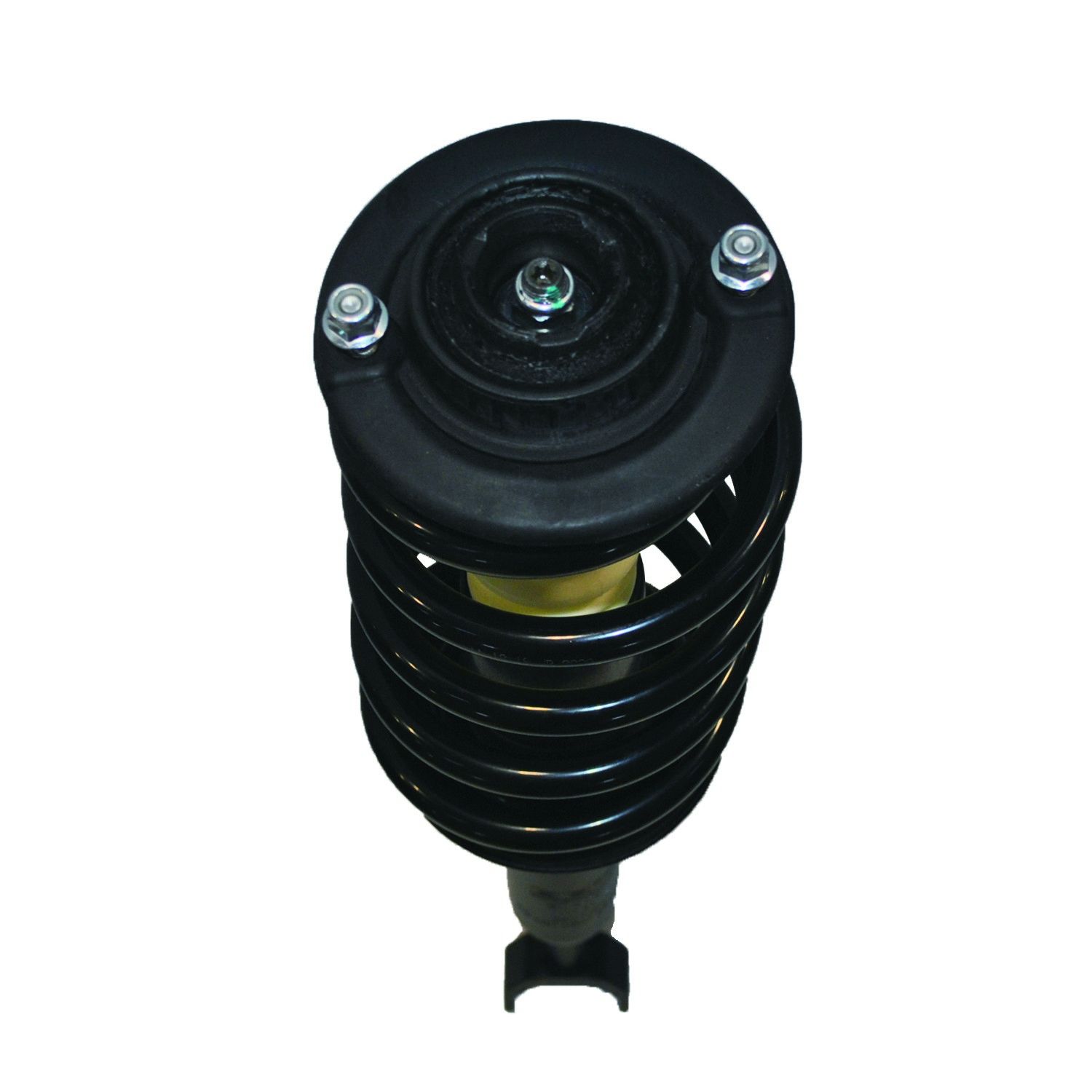 2004, 2003, 2002, 2001, 2000 Audi A6 Suspension Strut and Coil Spring Assembly