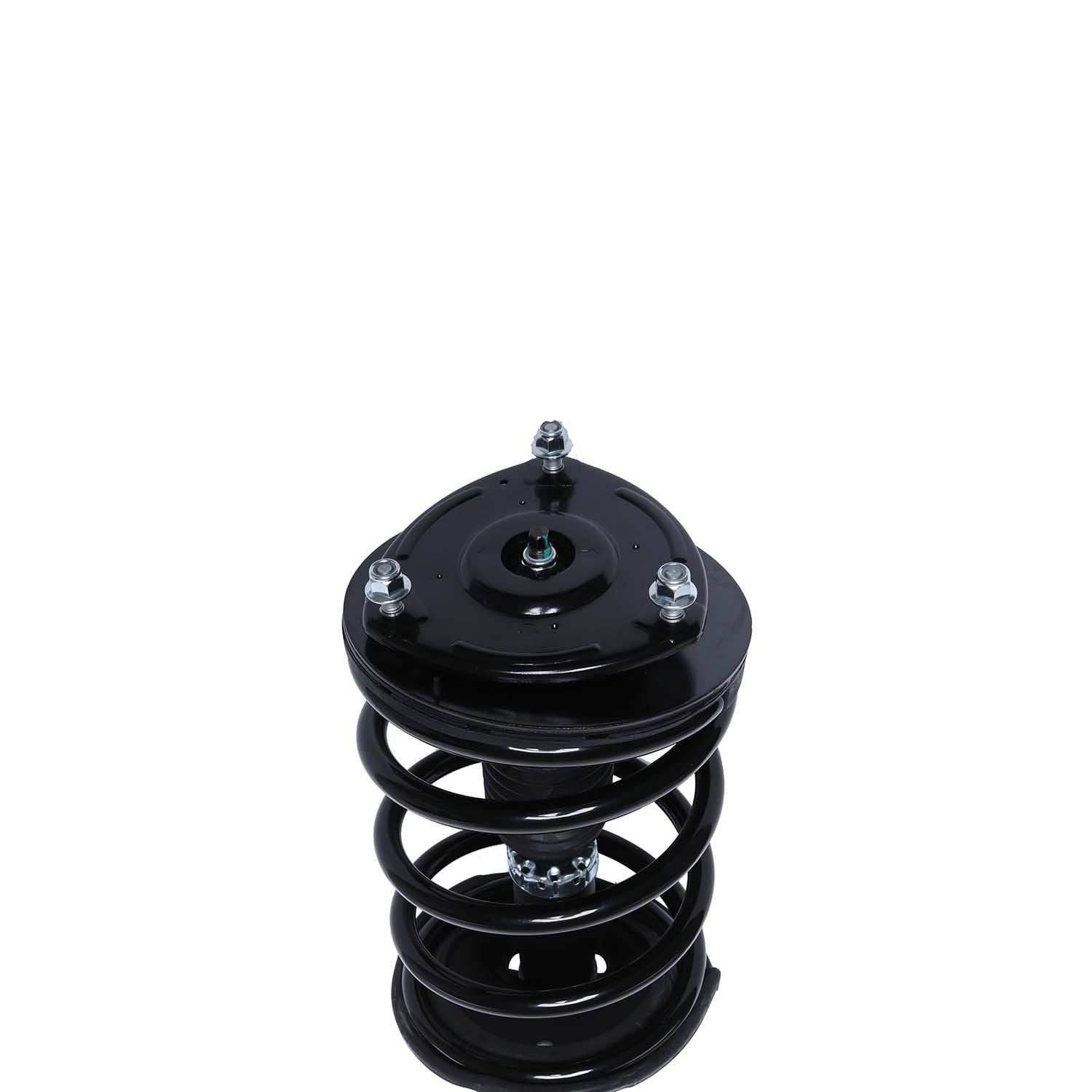 2009, 2008, 2007 Hyundai Santa Fe Fe Suspension Strut and Coil Spring Assembly