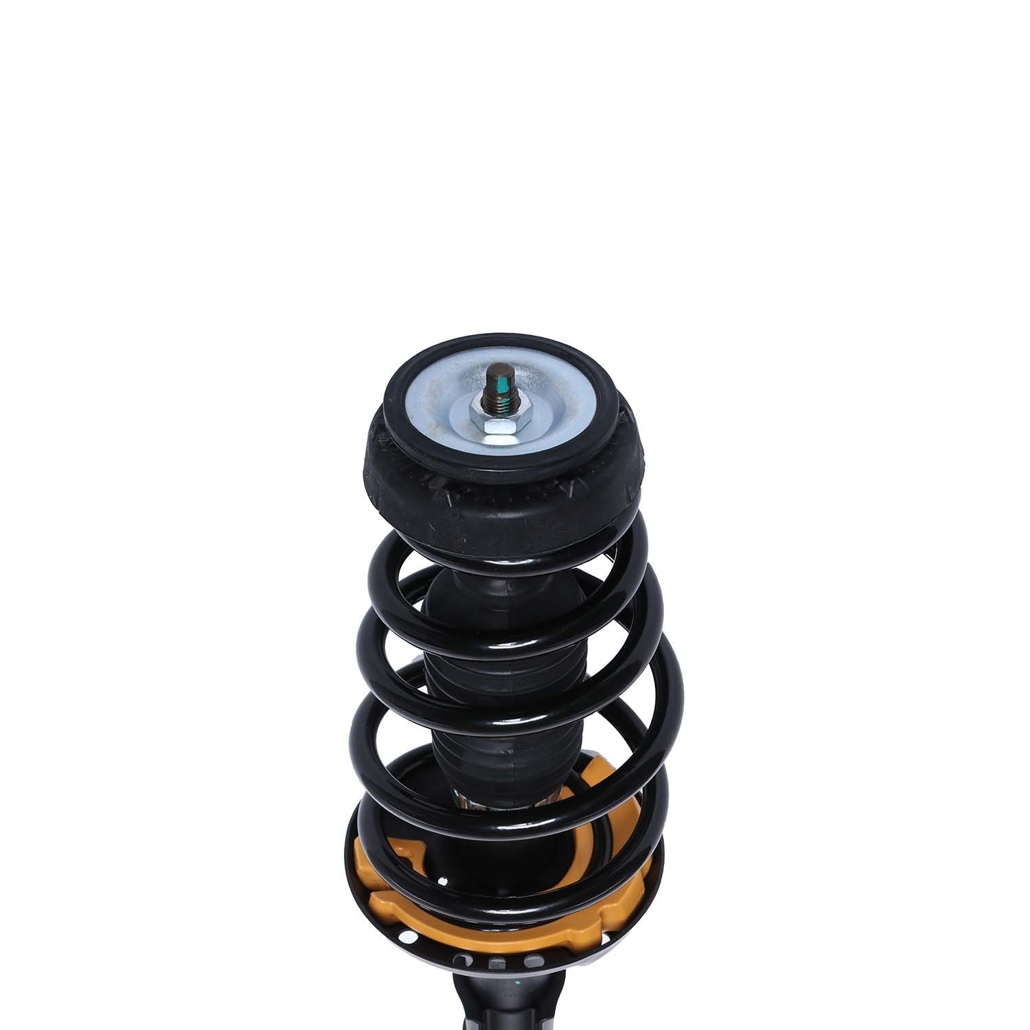 2012, 2011 Chevrolet Volt Suspension Strut and Coil Spring Assembly