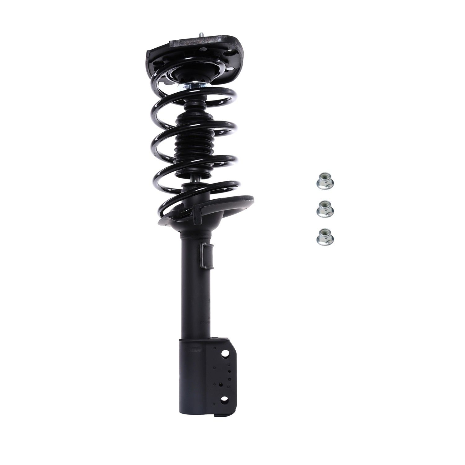 View 4