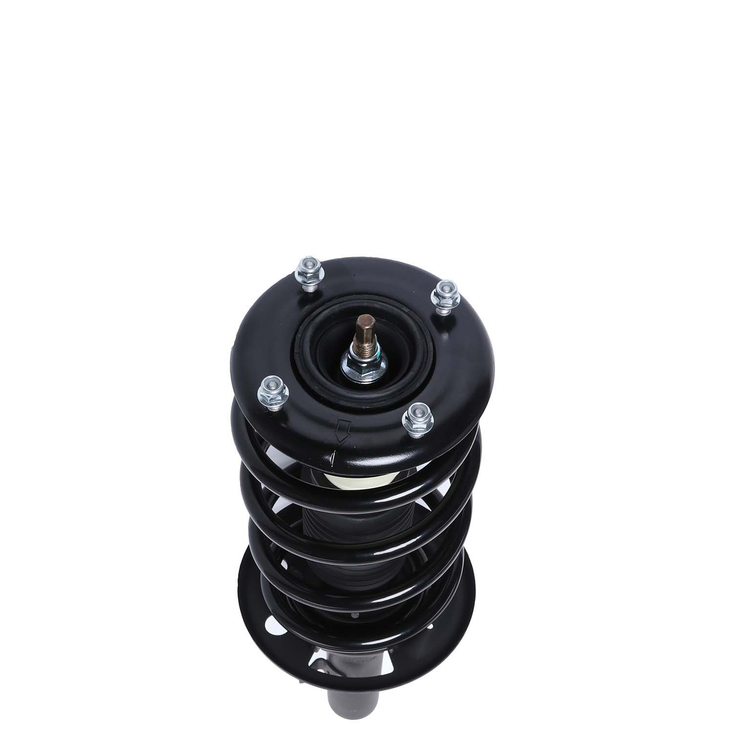 2011, 2010 Ford Flex Suspension Strut and Coil Spring Assembly