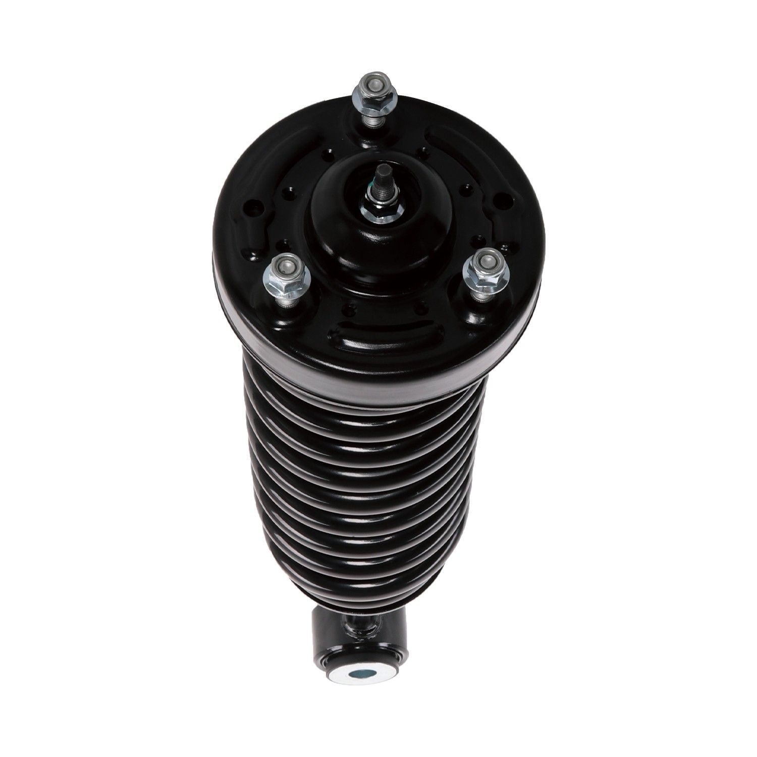 2006, 2005, 2004, 2003 Lincoln Navigator Suspension Strut and Coil Spring Assembly