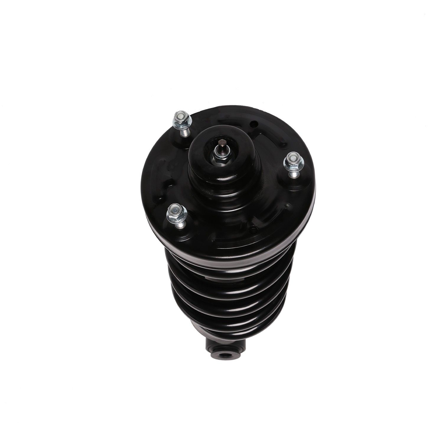 2010, 2009, 2008, 2007 Lincoln Navigator Suspension Strut and Coil Spring Assembly