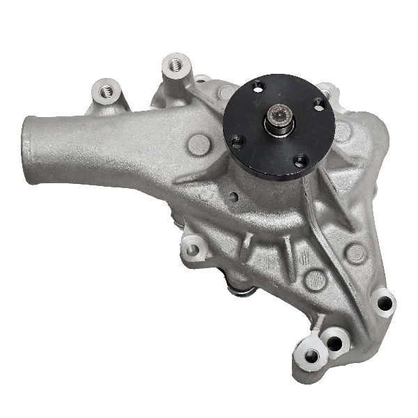 1977-1981 Buick Century Engine Water Pump (PRW)