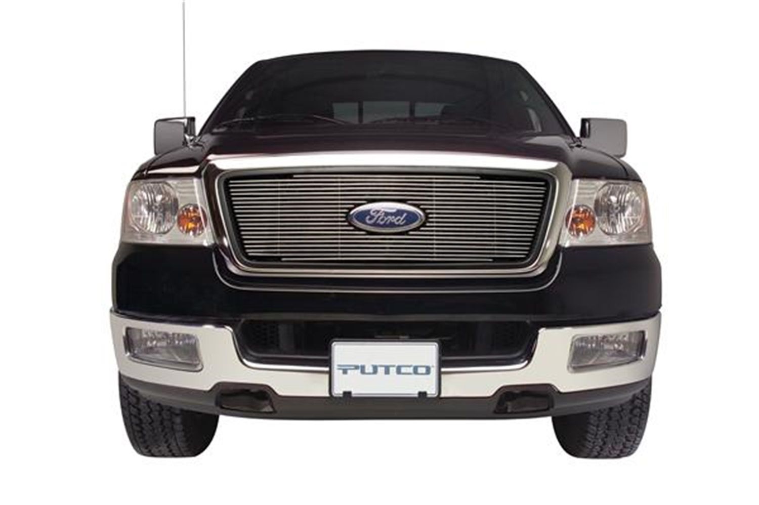 2008, 2007, 2006, 2005, 2004 Ford F-150 Grille Insert