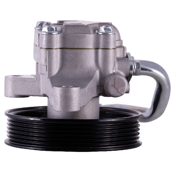 2007-2008 Hyundai Entourage Power Steering Pump (PWR)