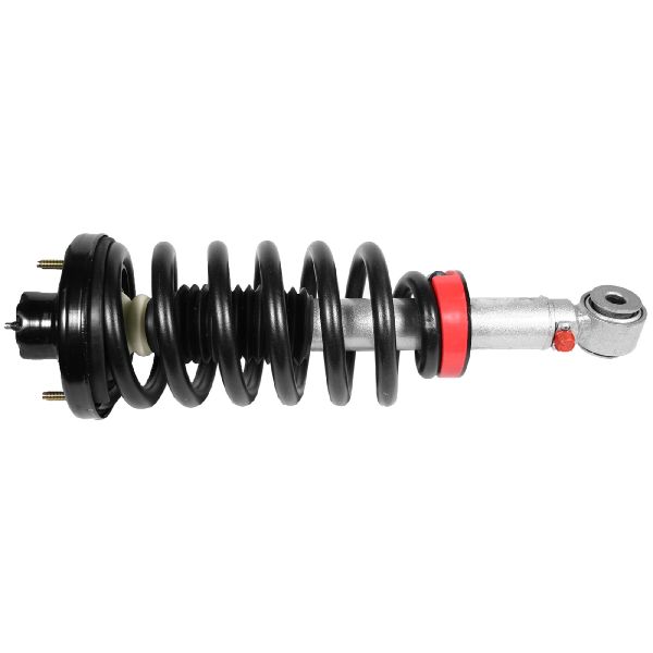 2003-2006 Ford Expedition Suspension Strut and Coil Spring Assembly - Rear Left (Rancho)